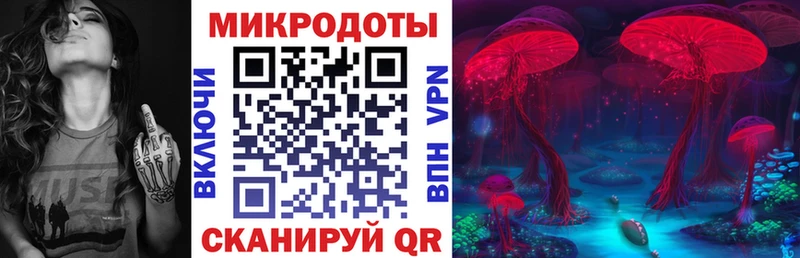 Псилоцибиновые грибы GOLDEN TEACHER  Купить закладки  Фокино 